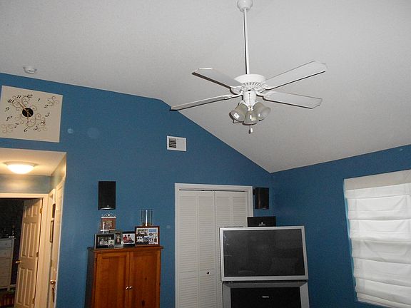Vaulted Living Room Ceiling