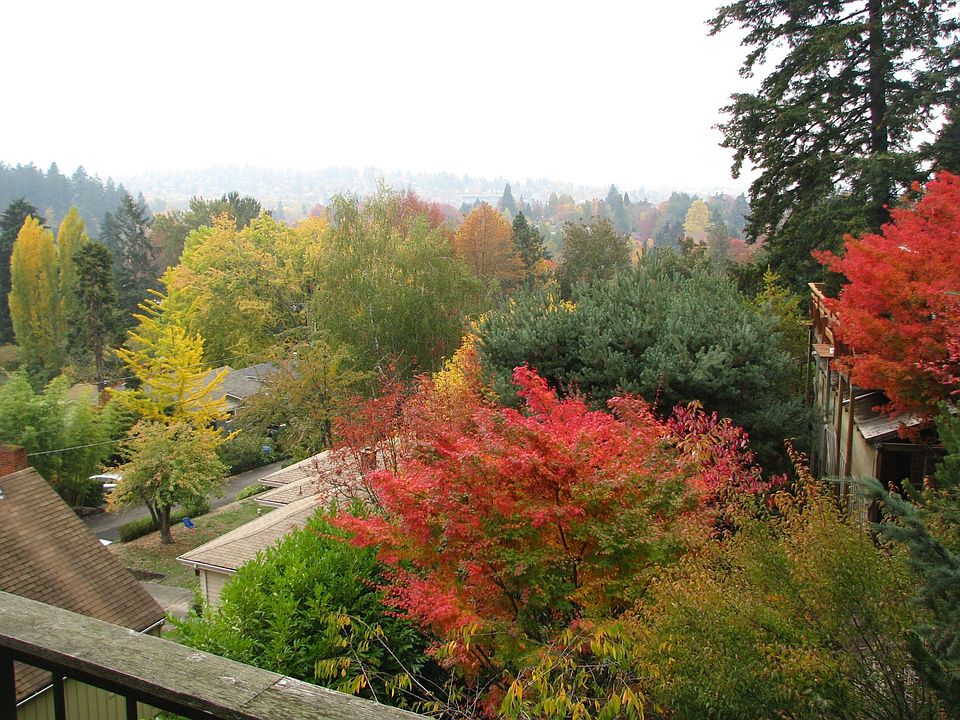 view from living room and deck
