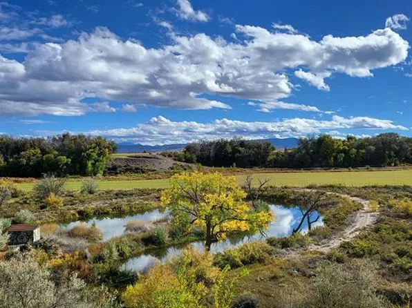 55347 (ALL) Begonia (all acreage) Road, Olathe, CO 81425