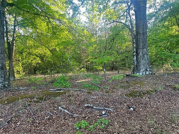 5th image of LOT 15 Old Abbeville Hwy