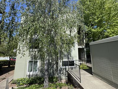 4008 Farm Hill Blvd APT 204, Redwood City, CA, 94061