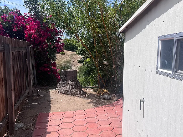 Shed Side yard