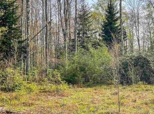 75 Canal St, Davis, WV 26260