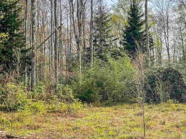 75 Canal St, Davis, WV 26260