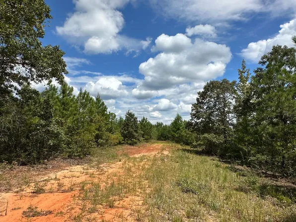 Sid Duncan Rd, Marion, AL 36756