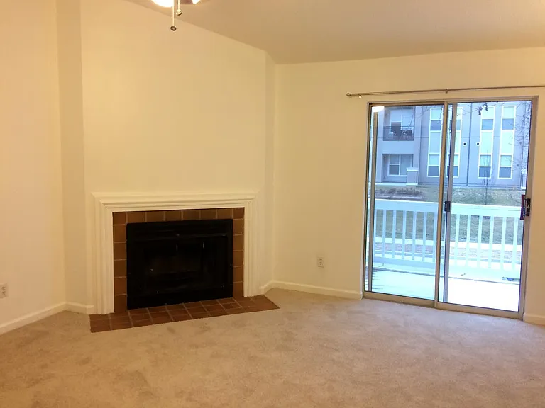 The living area with carpet
