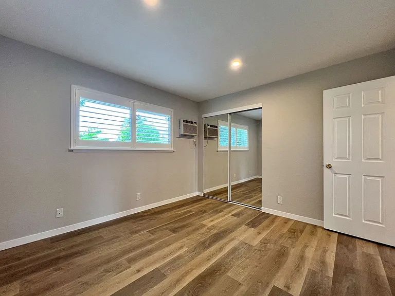 Pine, 1782* — Photo 12