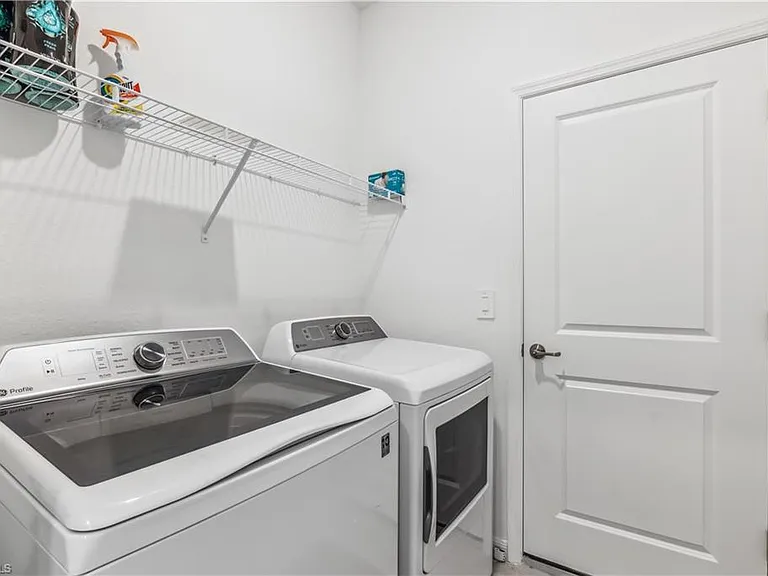 17716 Palmetto Pass Ln — Photo 17