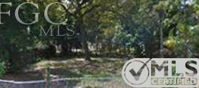 2254 Franklin St, Fort Myers, FL, 33901