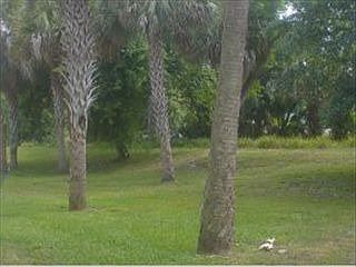 4th image of 3088 Sir Hamilton Cir