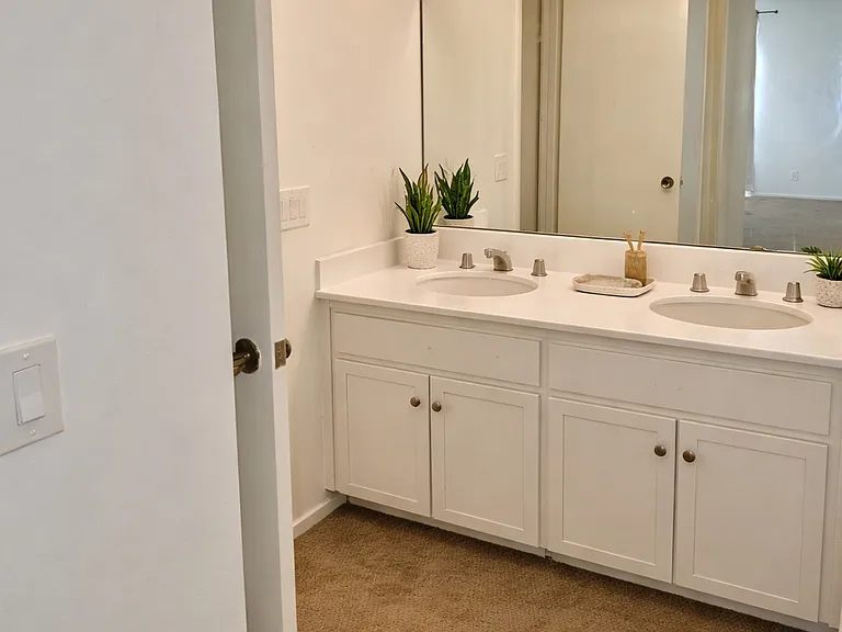 Apartment #205 Primary Bathroom