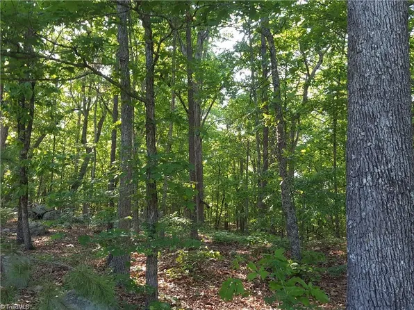 174 Healing Springs Dr, Denton, NC 27239