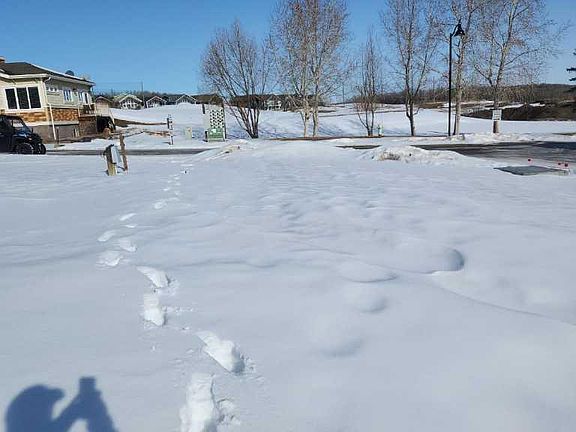 4th image of 25054 S Pine Lake Rd #4072