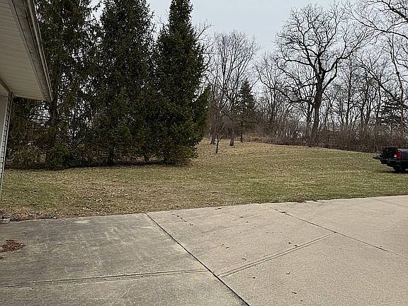 back yard lot with trees