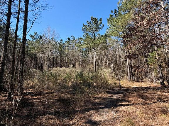 3rd image of 2001 Reed Rd