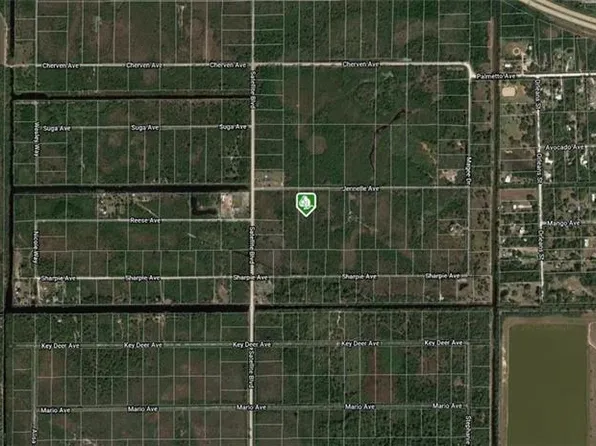 Jannelle Boulevard Lot #4, Cocoa, FL 32926