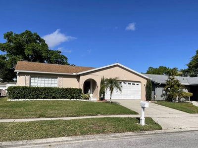 2176 Groveland Rd, Palm Harbor, FL, 34683