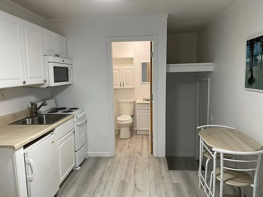 Studio, 300 sqft, $1,190 — Photo 3