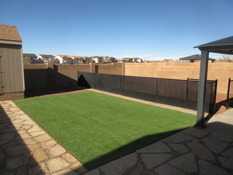 Back Yard