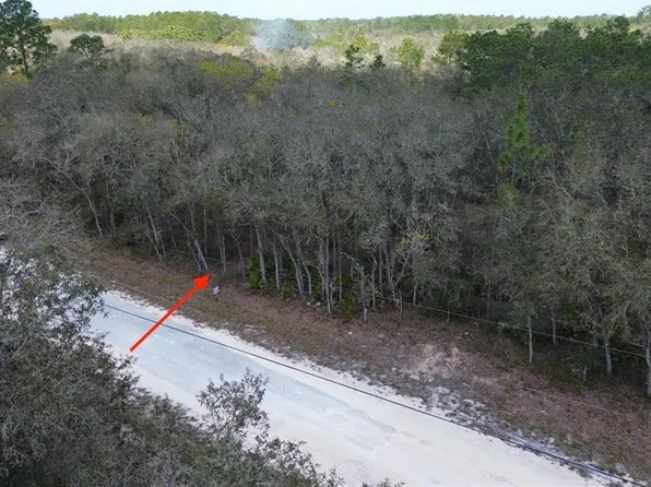 35021 Manuel St #30, Webster, FL 33597