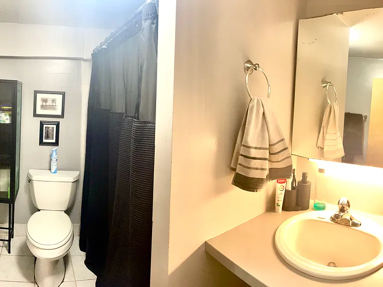 same bathroom diff furnishings