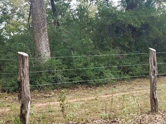 4th image of Jack Rabbit Ln