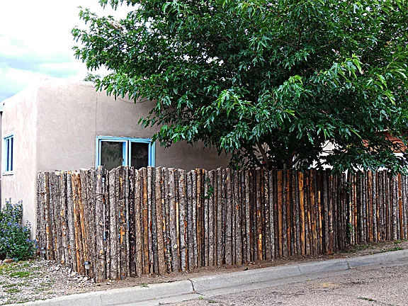 Fenced private patio with mulberry tree from the outside