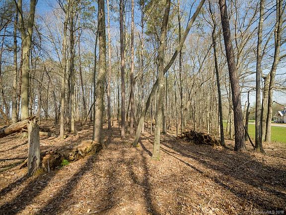 3rd image of 581 Skytop Farm Ln Lot 23