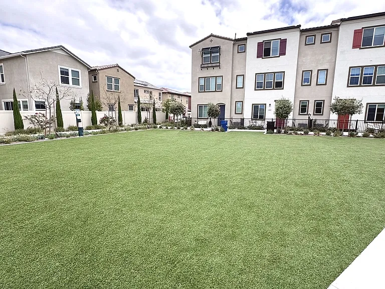 4336 Cadence Way — Photo 20