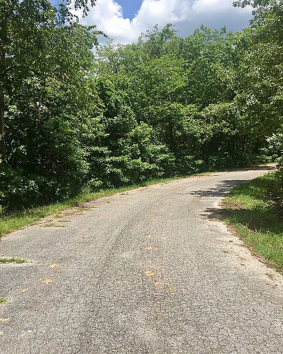 2nd image of Sorbie Dr