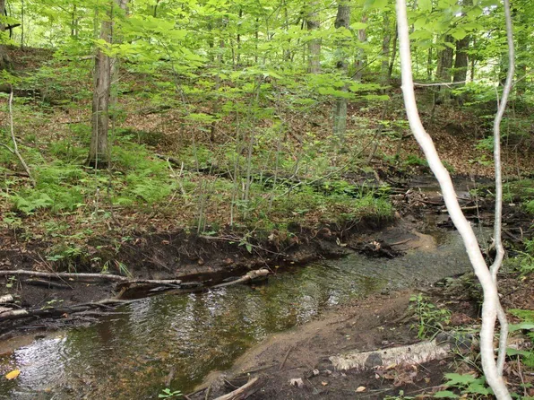 4 Apple Creek Rd NE, Kalkaska, MI 49646