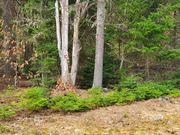 LOT 10 Daigneau Trl, Vermontville, NY 12989