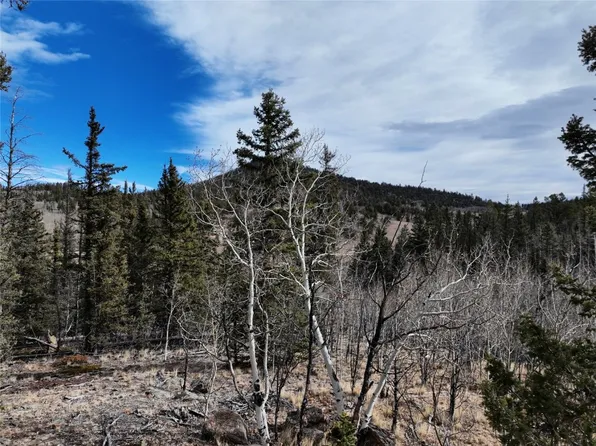 805 Longbow Dr, Como, CO 80456