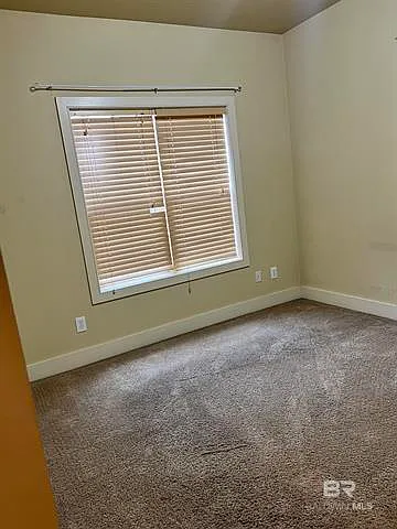 501 Cotton Creek Dr #1003 — Photo 3