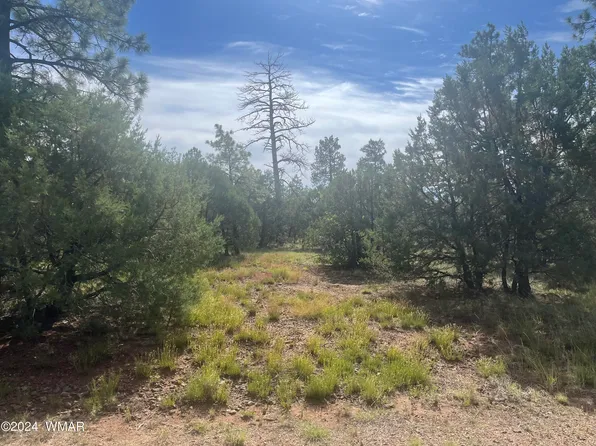 5455 Red Squirrel Ln, Lakeside, AZ 85929