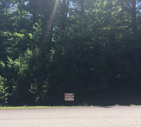 View of lot from Cypress Pt