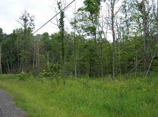 0 Route 10, Sharon Springs, NY 13459