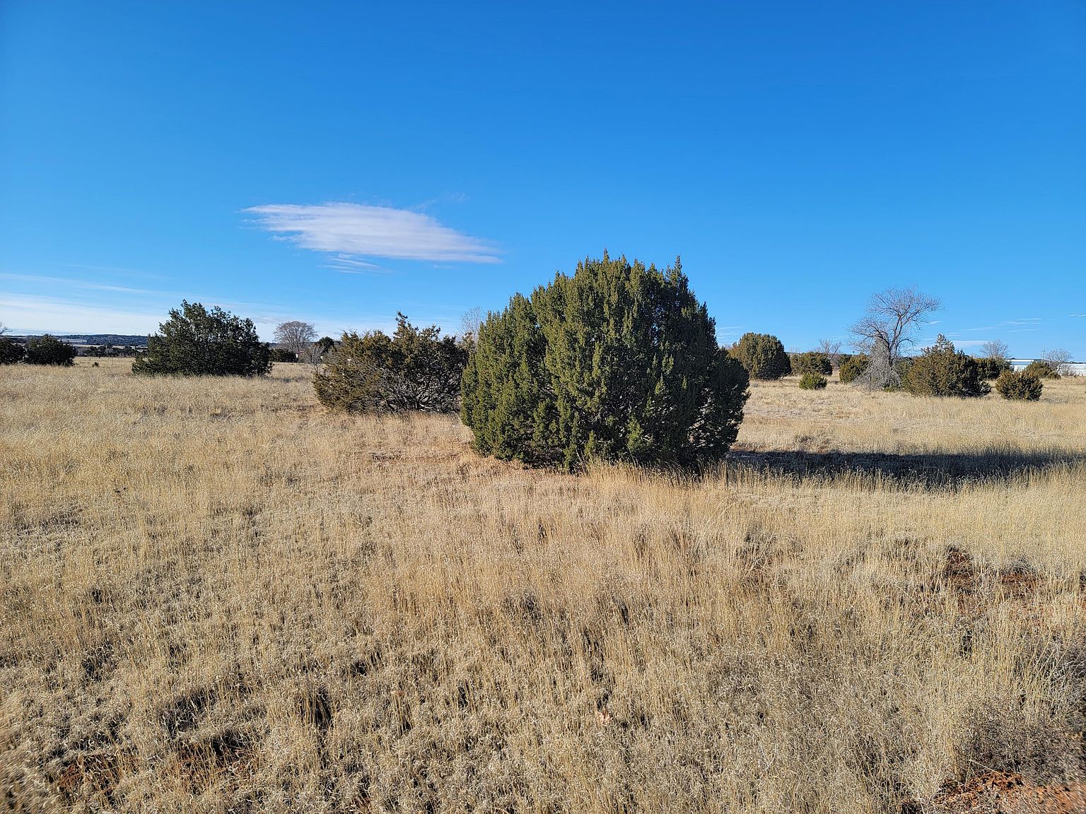 288 Dinkle Rd, Edgewood, NM 87015 Zillow