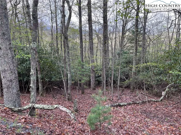 269 Poplar Drive, Beech Mountain, NC 28604