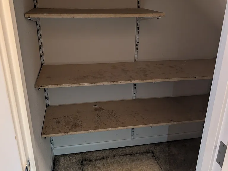 Understairs Closet