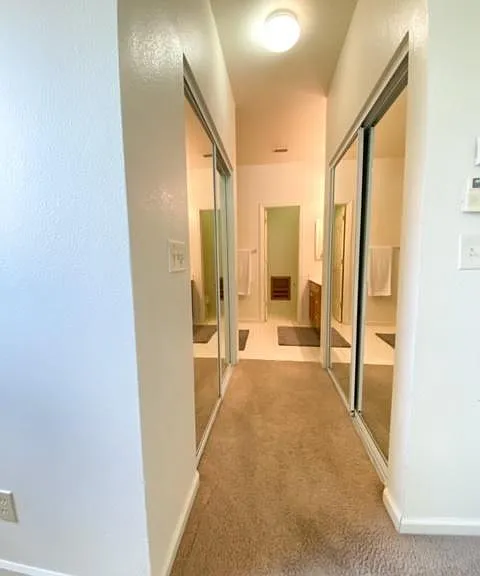 1157 Knopfler Cir — Photo 12