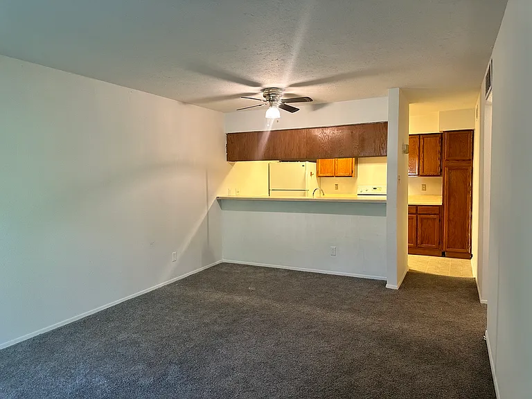 7313 Gulf Fwy #409 — Photo 10