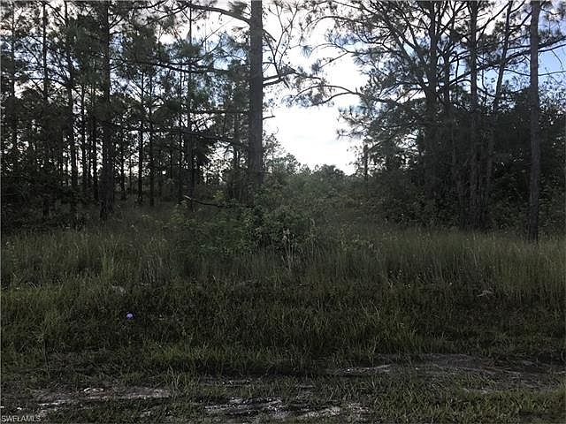 2nd image of 917 Pine Ave