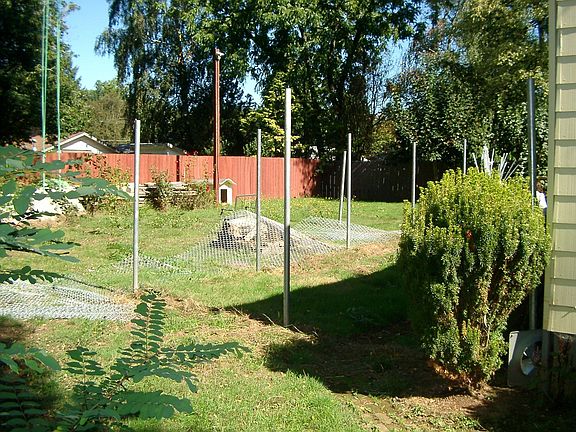 Patio Area and Backyard