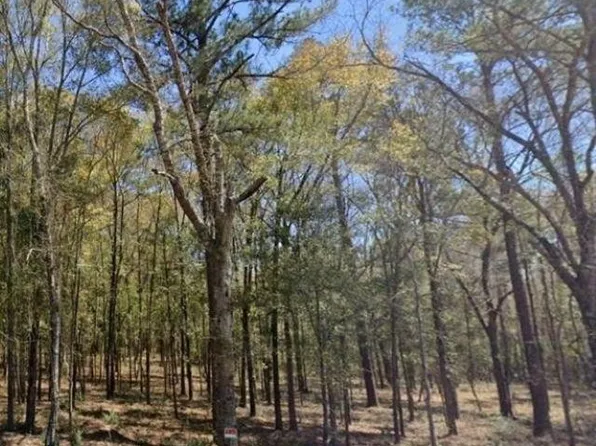 0 Ferrell Rd, Andalusia, AL 36421