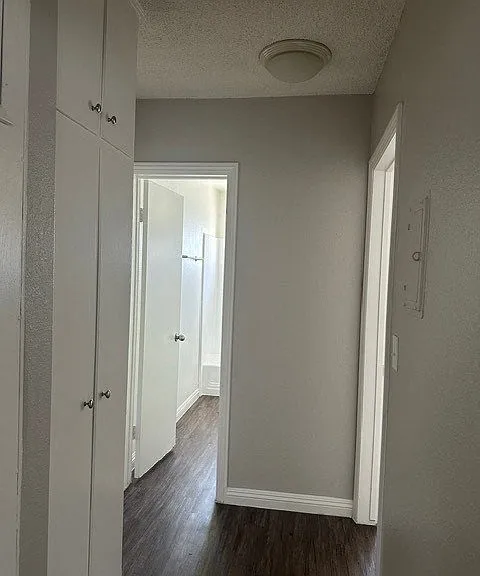 950 Palmbrook Dr — Photo 64