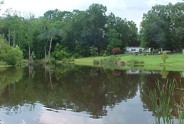 View From Pond Toward Home