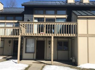 3 Alpine Mdws, Ellicottville, NY 14731