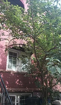 Rented by Ben Bay Realty Co | media 1