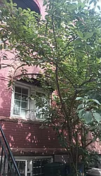 Rented by Ben Bay Realty Co